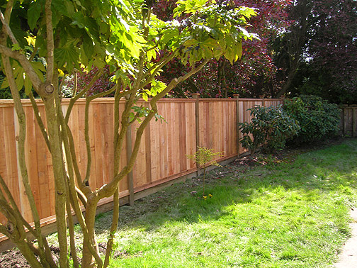Fence 1