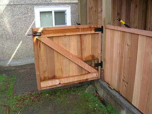 Fencing 3